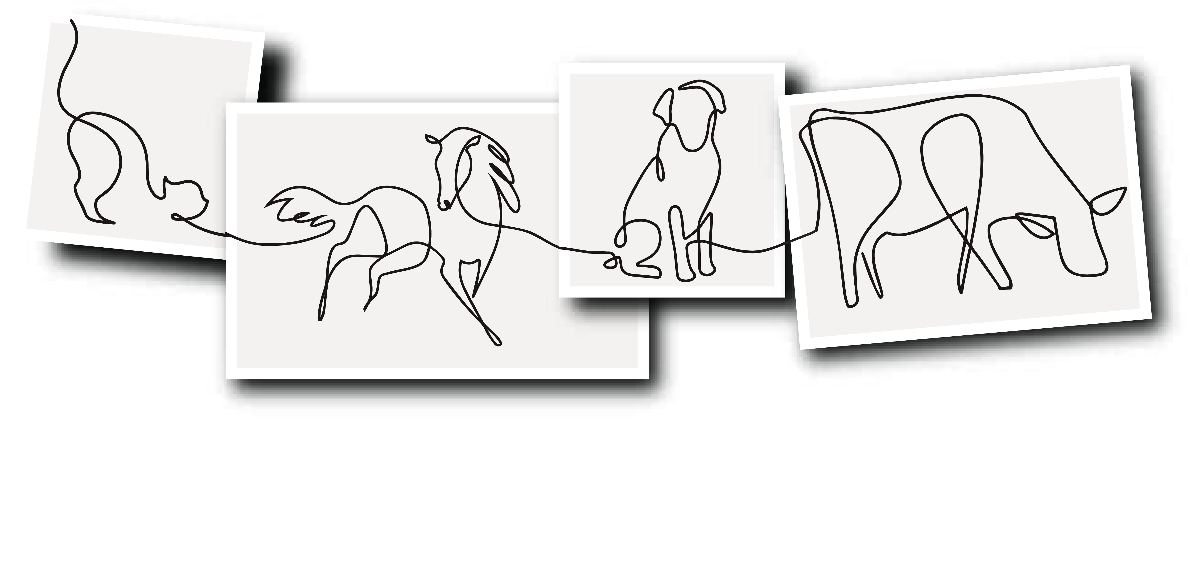 Hartley Valley Vets